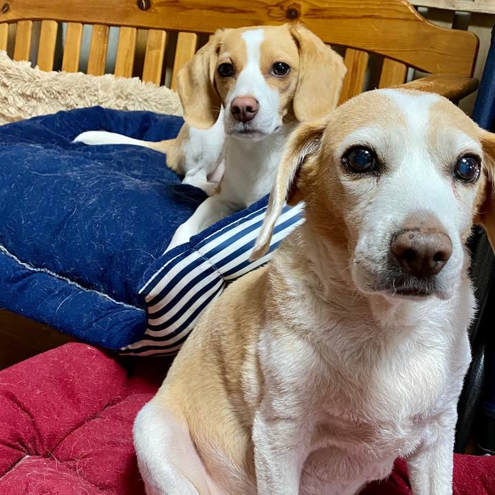 Fe682080 9602 4914 908c 8819c9bb414e 1592606826104