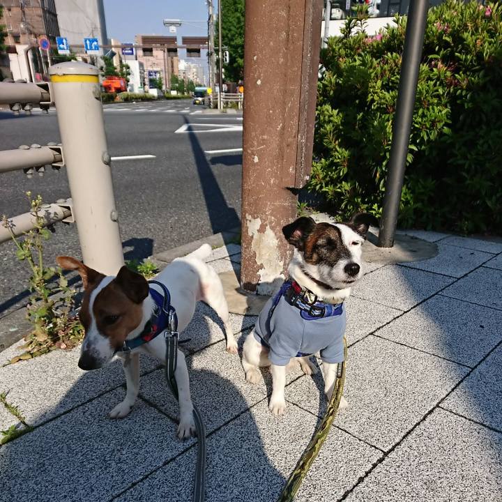 Fe68230f 32c3 412d ab4d d360f3cba759 1525473829525