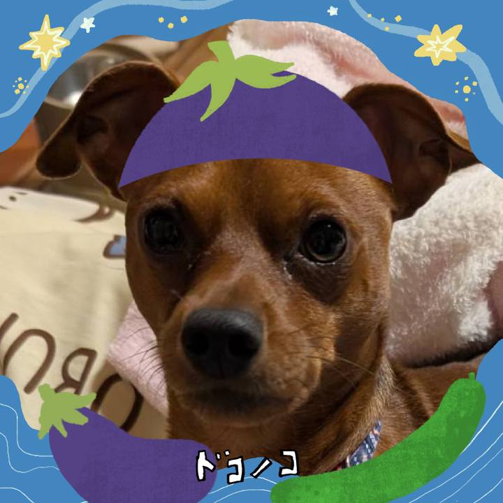 Fe683119 f9e6 487c 80ad c051e3ea3149 1755523121355