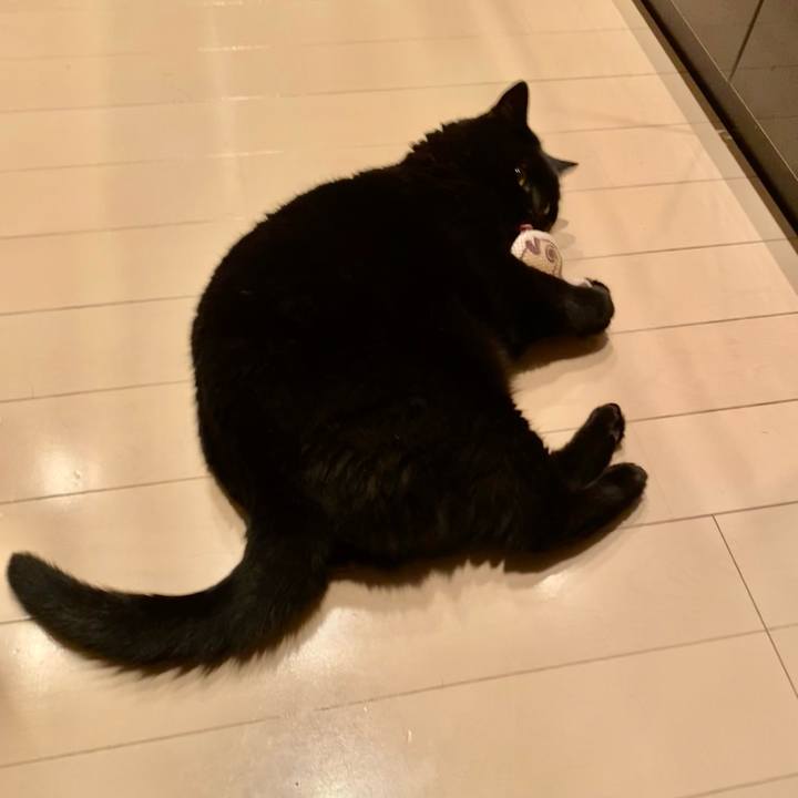 Fe6853d6 1920 4cb3 9a62 b399a3426b8b 1720698889363