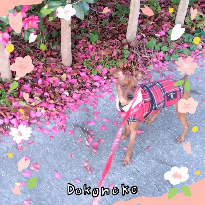 Fe6858ac 60e4 4aae b197 55cee2d96963 1711490490330