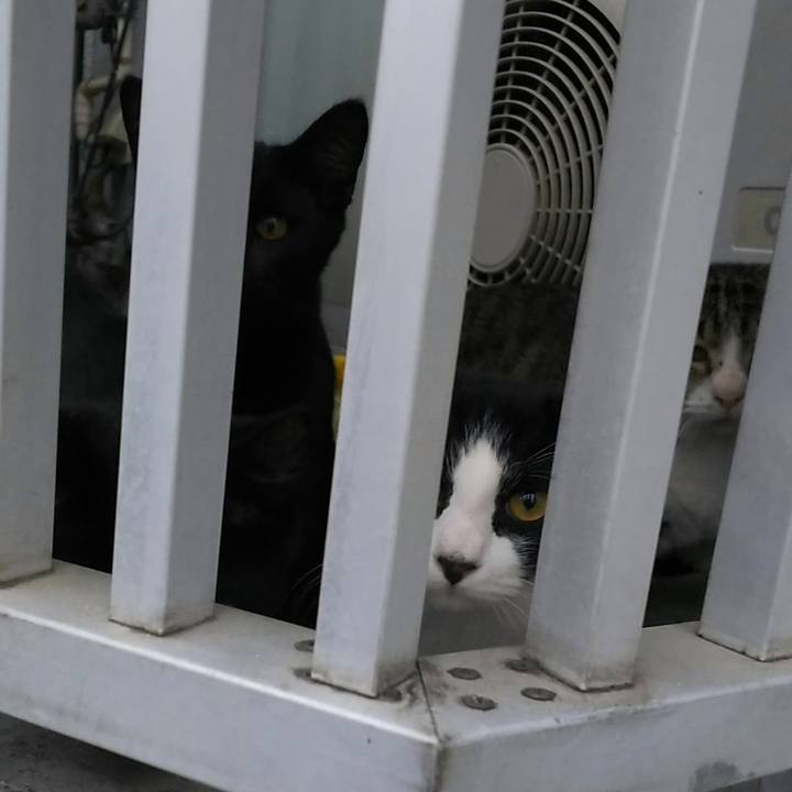 Fe68895d 6241 401a 9dce 7ce73461218a 1569057094818