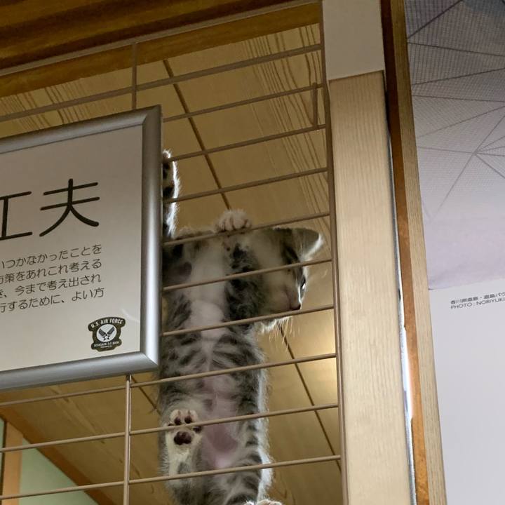 Fe68b6b6 91cf 4629 a8c2 fdb1e37517e6 1686291424432