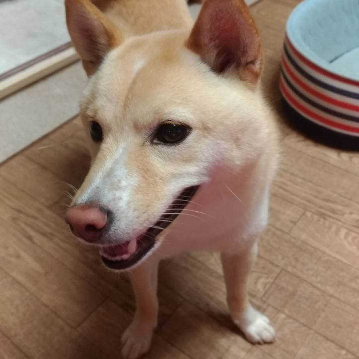 Fe69364b b739 4add b1d4 9ea0b82572f8 1533470646218