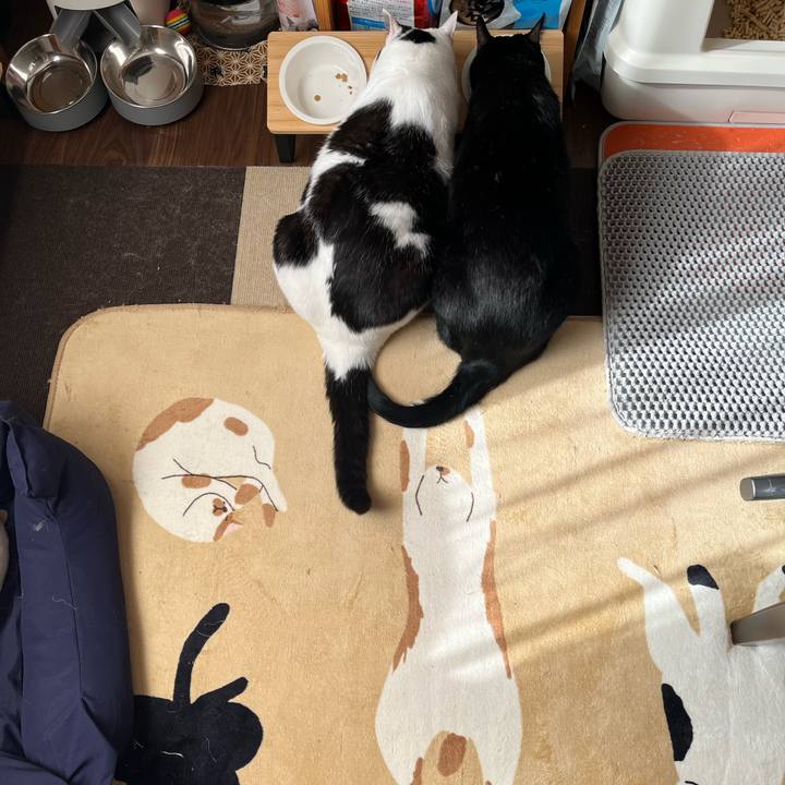 Fe6941ed 486d 46d2 b52c ced6b8efa662 1764126996383