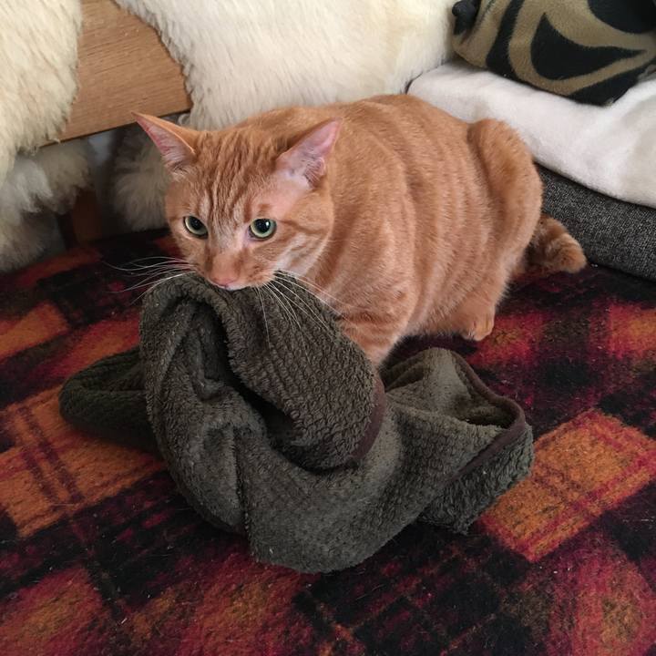 Fe696643 5a86 4743 a7be d1d50eaeee9b 1613517224809