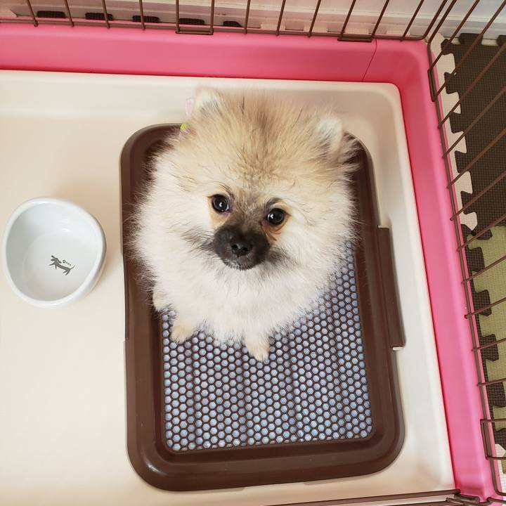 Fe696fbb 38e1 4b39 a087 ecc79189e0c6 1611957079016