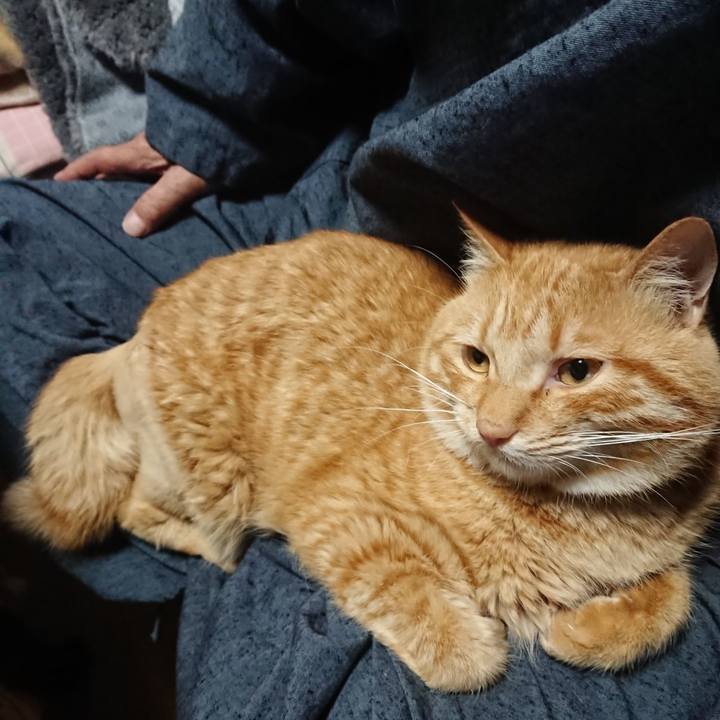 Fe699c0c eb51 429e a206 6ce8f64fd0f4 1655036597866