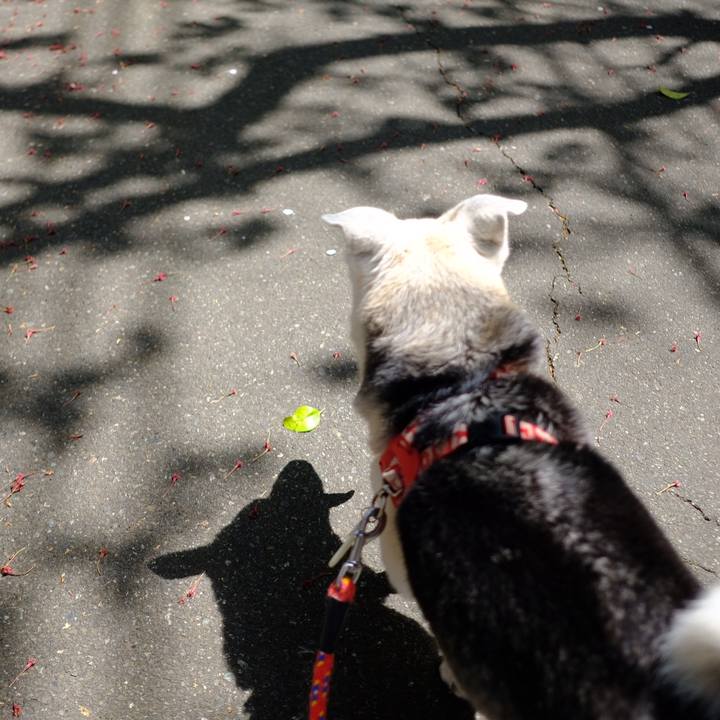 Fe699ca6 5f7b 41e8 80cd b3b6c278cba8 1713239834250