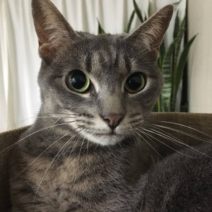 Fe69ee47 73ae 4f41 8c40 d394b85d0214 1562509999181