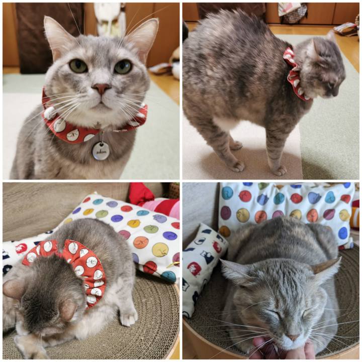 Fe69f343 fc58 4b57 8f6a c2205dd08ea1 1671942820903