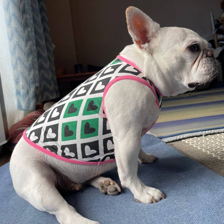 Fe69fa4b b7b2 46c6 a0d7 1630d92b126b 1755234136969