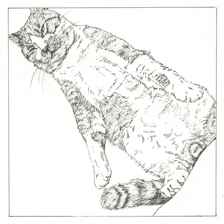 Fe6a2537 ace0 43c6 ae96 0c041775aa74 1575641938865