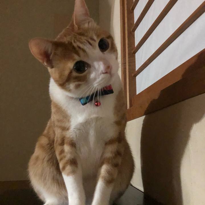 Fe6a3746 7696 4319 9093 f7975f3461ee 1517741135204