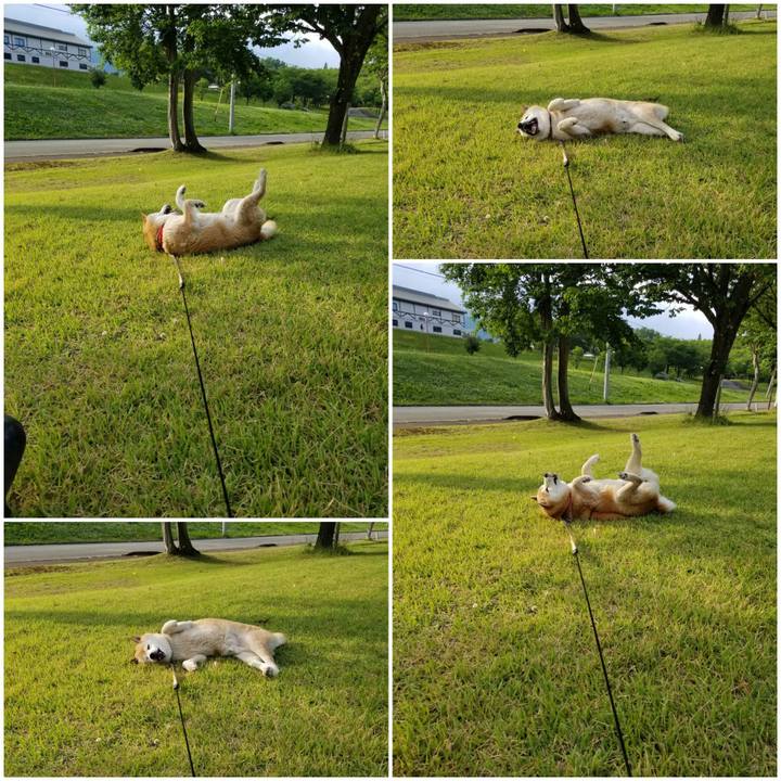 Fe6a4e86 85b9 438c b766 f6983317d590 1718526144251