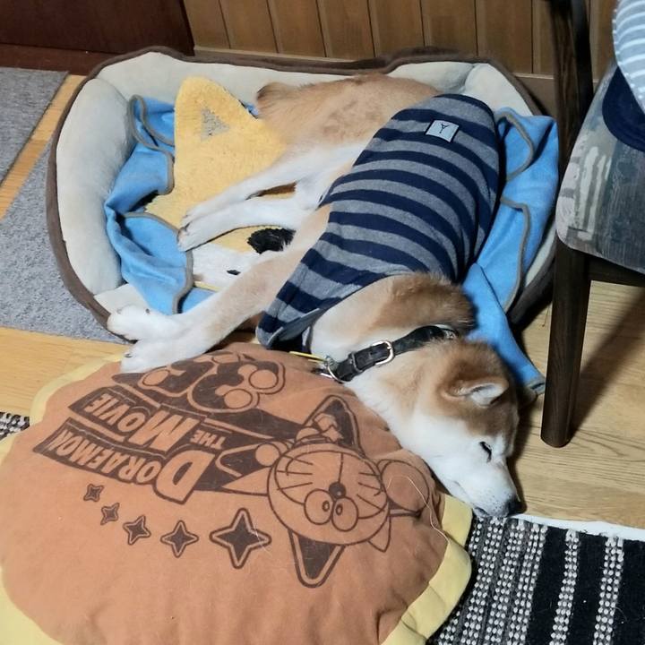 Fe6a6cb0 4aaf 4594 81d2 e6d9db9e8d4b 1613471856530