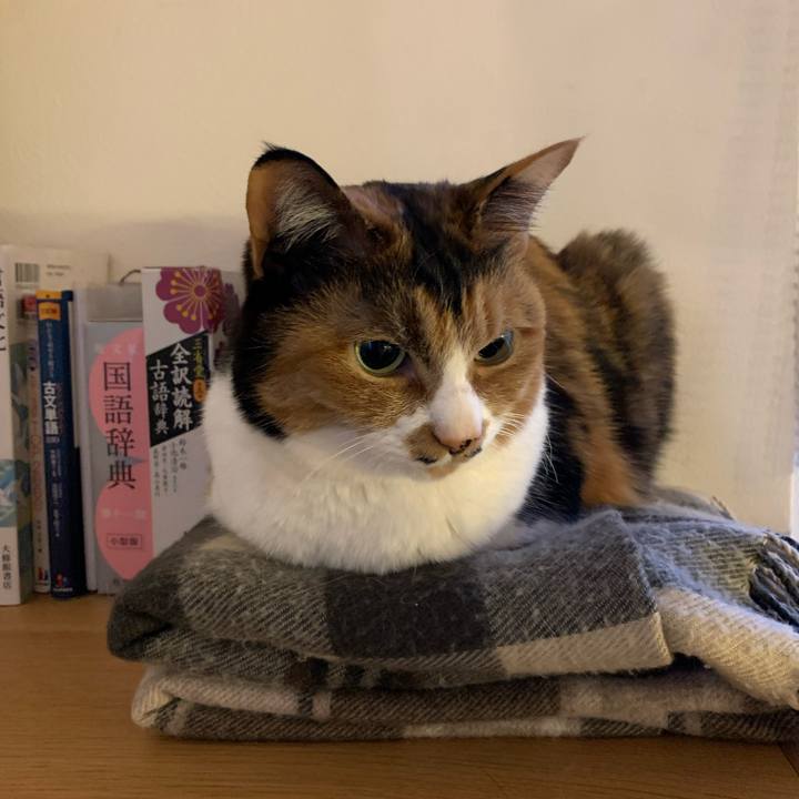 Fe6a8225 ddde 4cbf 95b3 e921824b139f 1731019371185