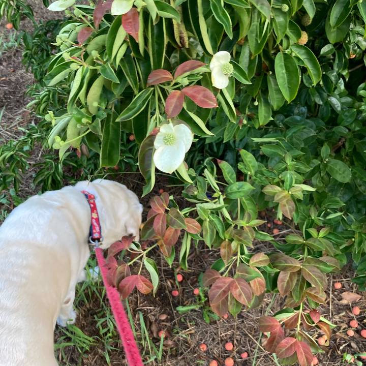 Fe6a8693 0619 4e11 bc71 8623790bf914 1728813920926