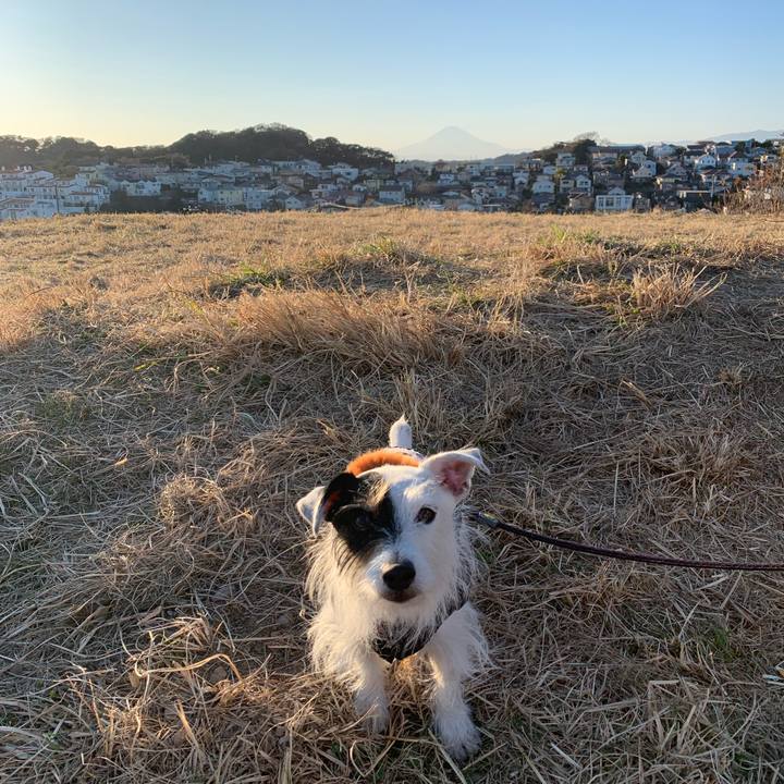 Fe6aa2dd 3bef 4aae b6f9 9288c1f5168c 1673334826080