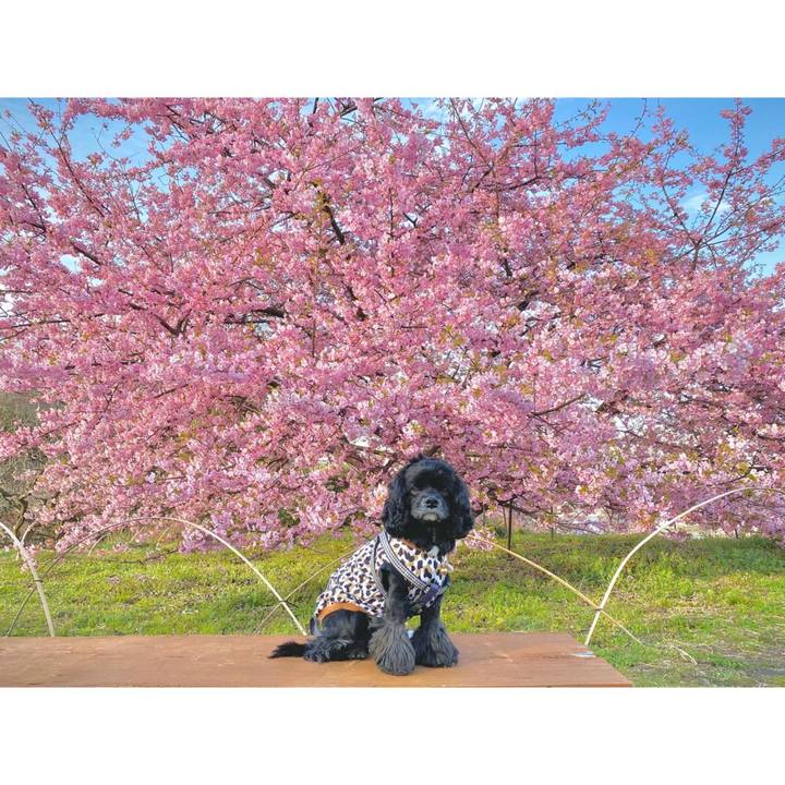 Fe6aafd2 dad7 433f 8dda 0da3628700ca 1614600410908