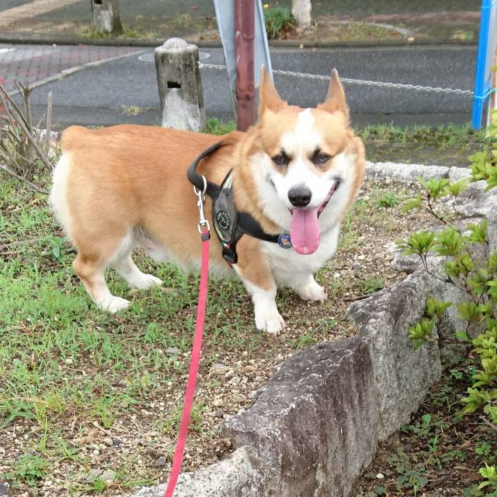 Fe6ae996 28df 4e63 a68c 756bdee36394 1634112794116