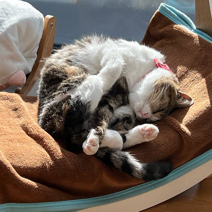 Fe6aea9d 458e 484b 850b 0b36b20e7d88 1733119795681