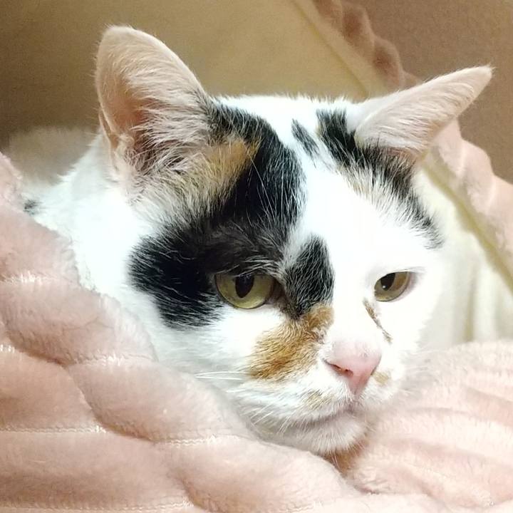 Fe6b39e2 b685 4dbb a352 3a269a8206eb 1634813704102