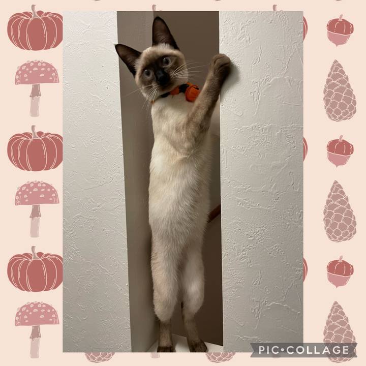 Fe6b3e9e d7ae 4c8d 8afa 5e0b52990a29 1698694987047