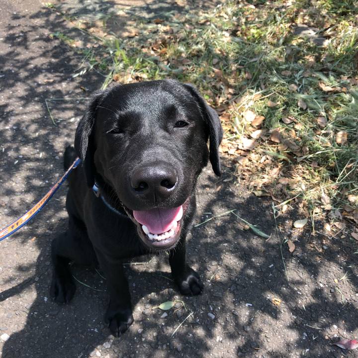 Fe6b64cc f3e3 46b1 b8af 5735637ddc7d 1557452131134