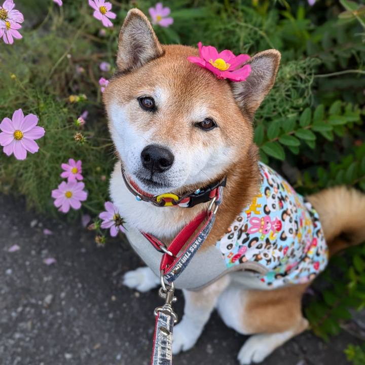 Fe6b7f53 bbf1 4722 8694 1b87947f00d1 1730455788147