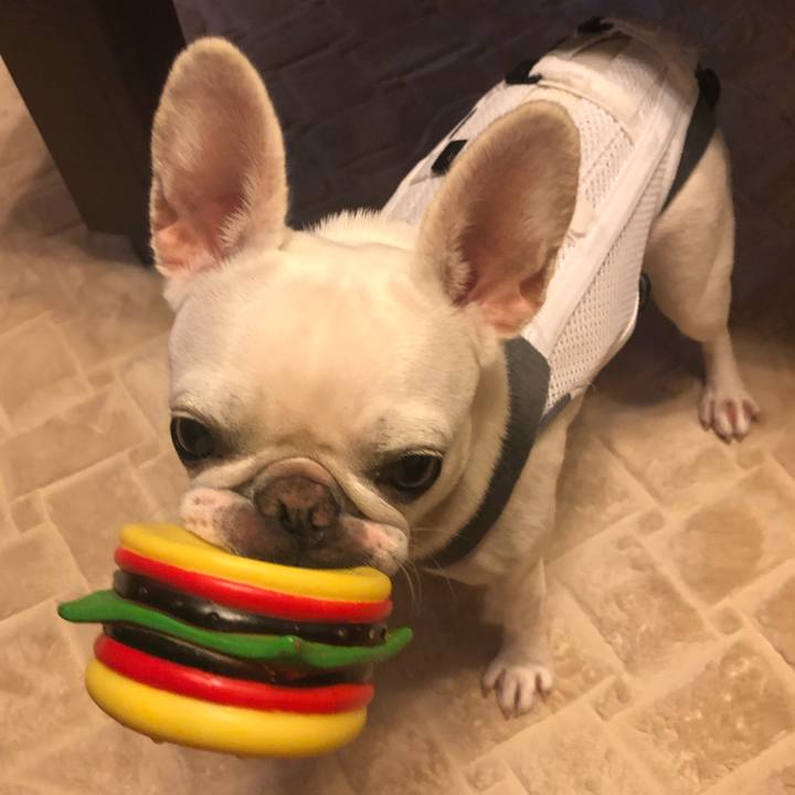 Fe6ba59b 5a16 48e4 a489 04b9723ac45b 1567155568636