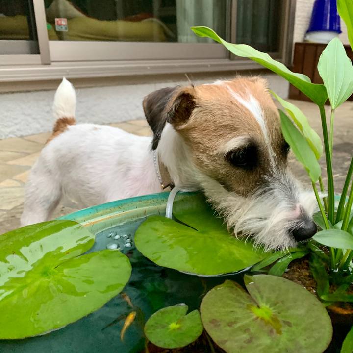 Fe6bdab2 c051 41a8 9227 35f2091c9118 1603016408301