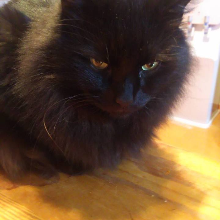 Fe6beed8 5e9c 46d1 a783 b6e7f404fc24 1544610172631