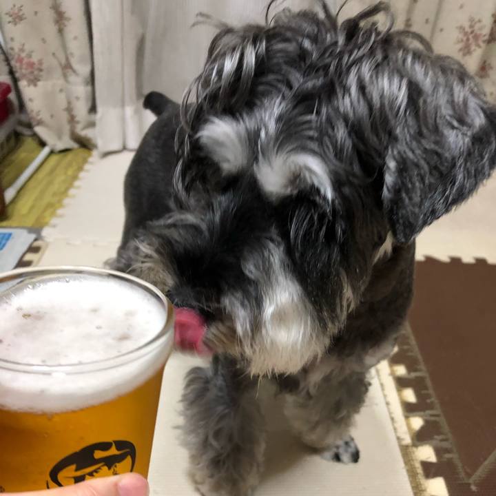 Fe6c0a5d 7b0d 4483 84bb 479c6cc6128b 1662114515057