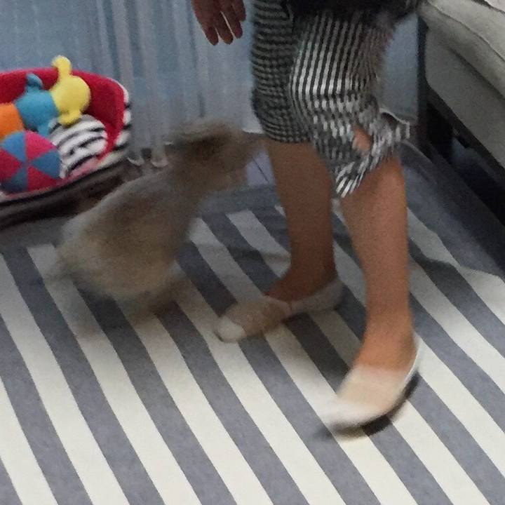 Fe6c640d 8ff7 4c9e a976 49d41f3f43b6 1534416712509