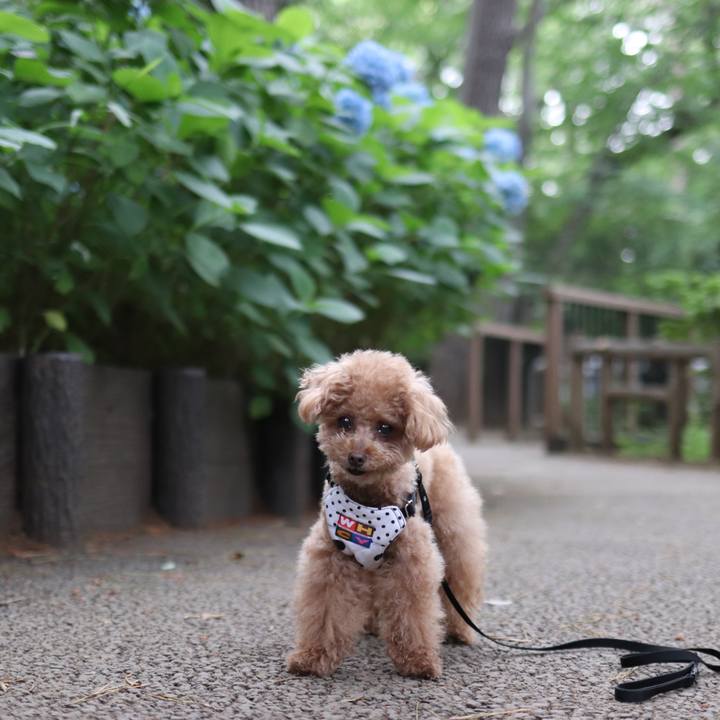 Fe6c6b3e a22c 40ae 8a6e bc8305cd8b8a 1604842245448