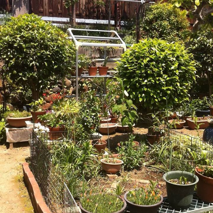 Fe6c70fd 2955 4847 aff0 5f74742e4ceb 1714986517449