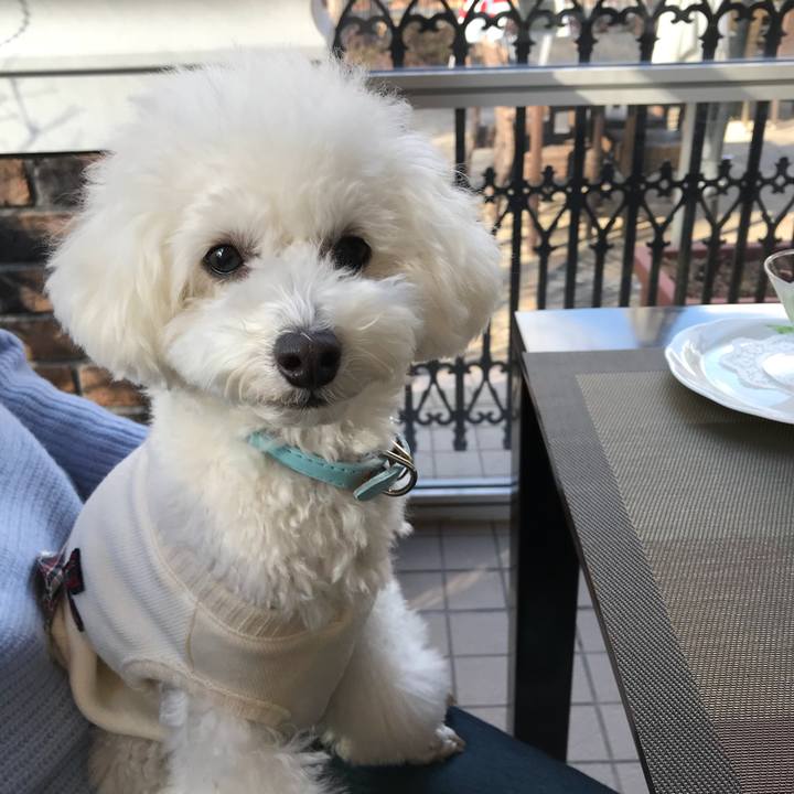 Fe6c99e1 e365 4e35 8767 5f3fb16e9e3b 1511072301827