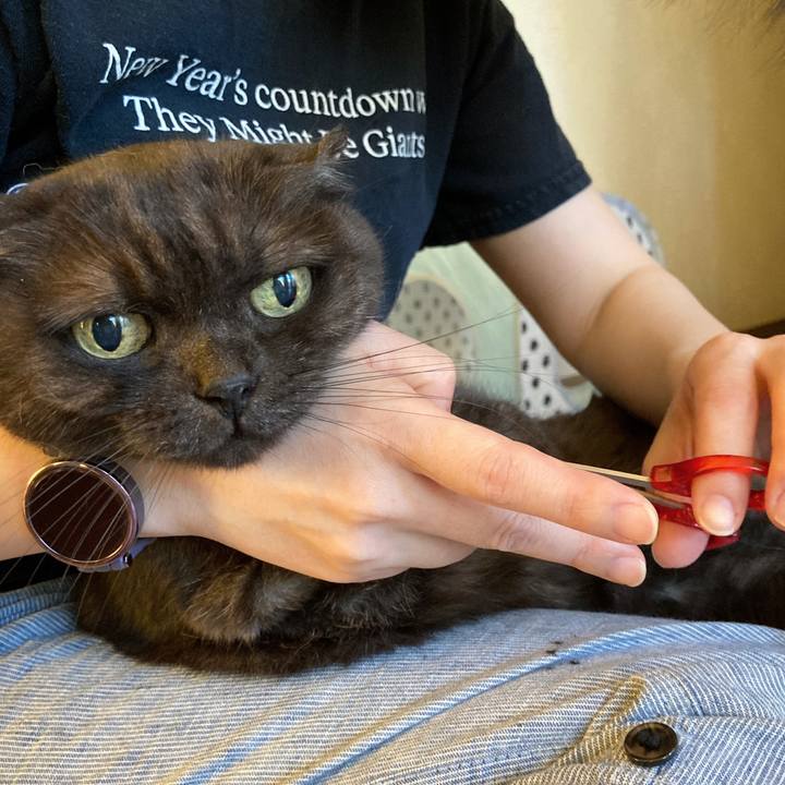 Fe6caef1 3337 408e 9546 66e620b3e787 1627734971827