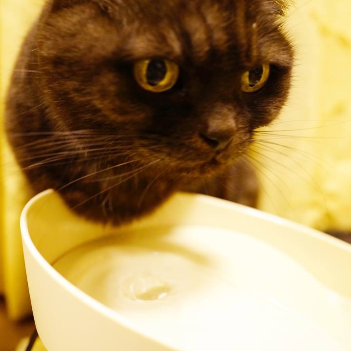 Fe6cbd20 da61 4076 92ab ac176e297d00 1638030127618