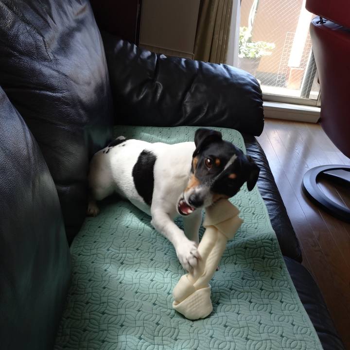 Fe6cebaa 66bb 4c65 9ef8 7cc66698efde 1589423010651