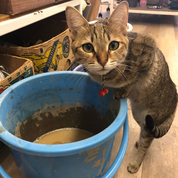 Fe6d0042 c77e 4be8 8128 c3eb51e1b6a4 1615162792652