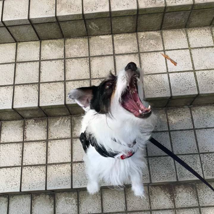 Fe6d2b34 431f 4c24 a556 9a567568c304 1687133352631