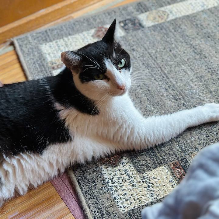 Fe6d4266 8c6e 4db3 8f85 fd4063501d34 1700098579392