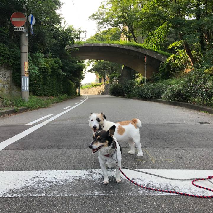 Fe6d7e8c b60c 4b02 aae4 ffcfa910f00e 1565134669386