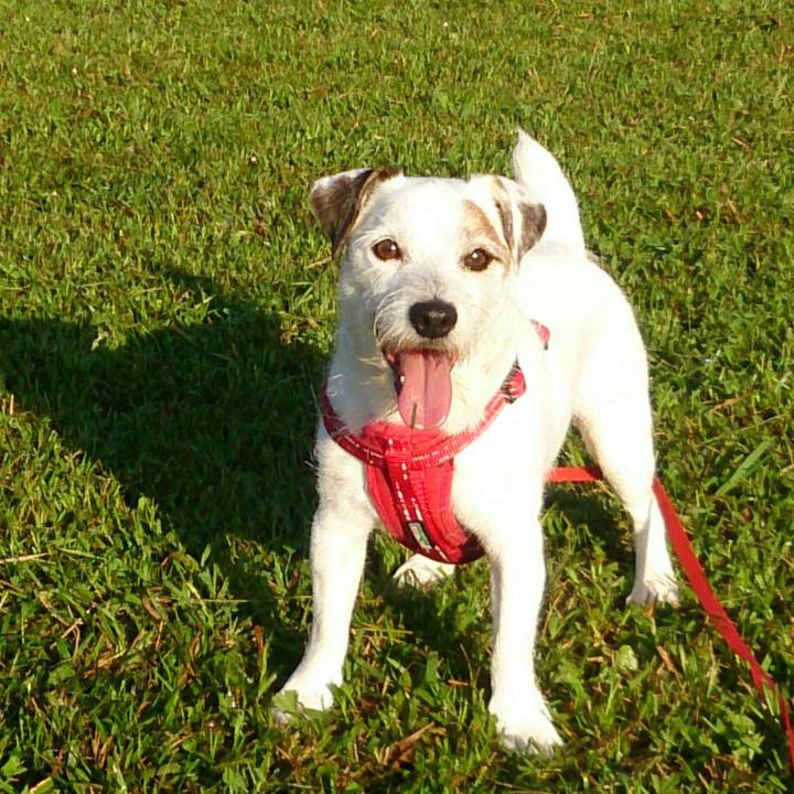 Fe6d9d3a 8fa4 4ea3 866a d32c3b303e57 1508974093272