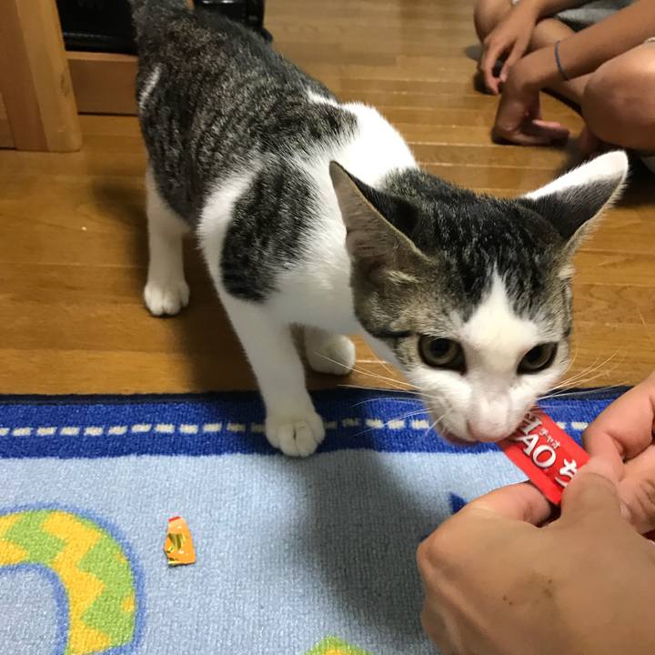 Fe6dcec9 0041 4a32 a535 029f2efa5e66 1533805549586