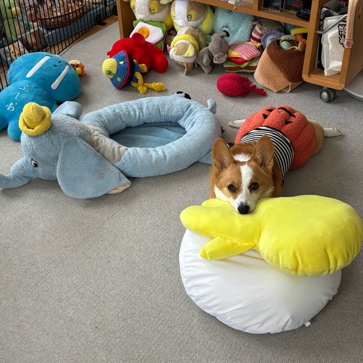 Fe6e21bb d263 4d98 ac9e 1b92d7562a07 1761875806074