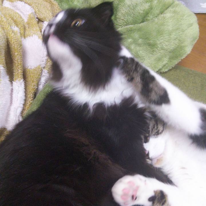 Fe6e2926 7e6c 431c 9af0 16dc5372b7c3 1649992879717