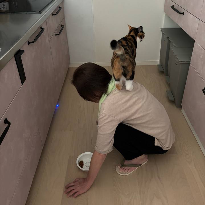 Fe6e3160 45cf 40c0 8f1d 46d3a9f93784 1772679606668